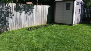 Grass removed for planting