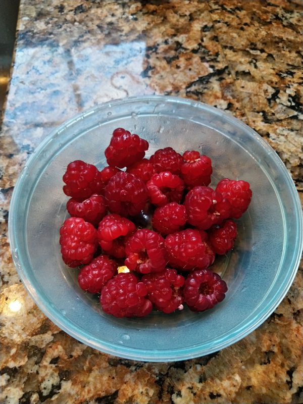6/28/19 - Joan J raspberries.