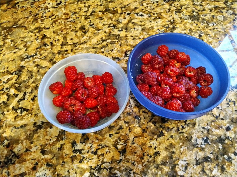 6/1/19 - Joan J raspberries.