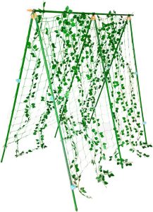 Cucumber Trellis